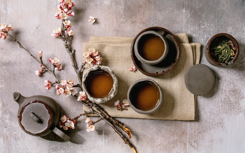 Lire la suite à propos de l’article Le guide ultime sur les thés japonais  : Matcha, Sencha, Hojicha et plus encore